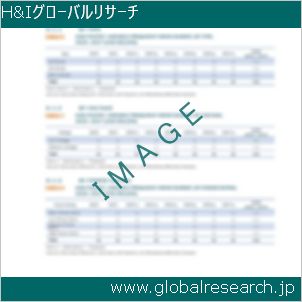 グローバルリサーチ調査レポートのイメージ
